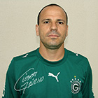 Nelson de Andrade Raphaelli